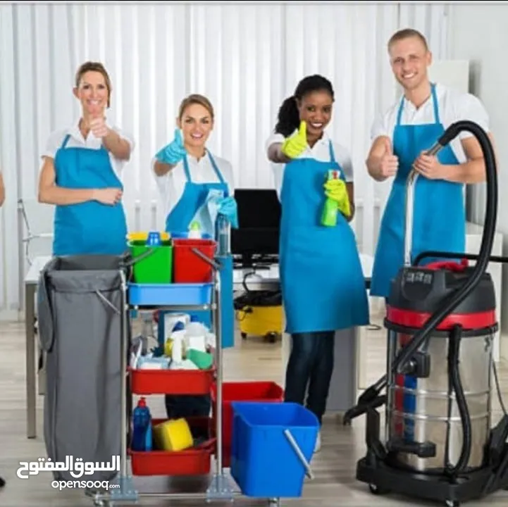 cheapest housemaids