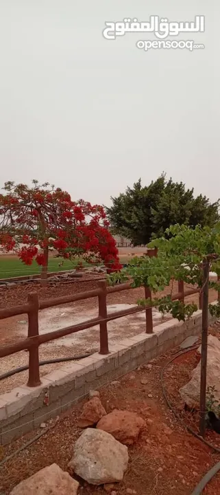 مزرعة مساحتها هكتار في بوهادي طريق الحنش محاطة بصور واستراحة وملعب وحضيرة وأشجار وبئر ماء وشلال
