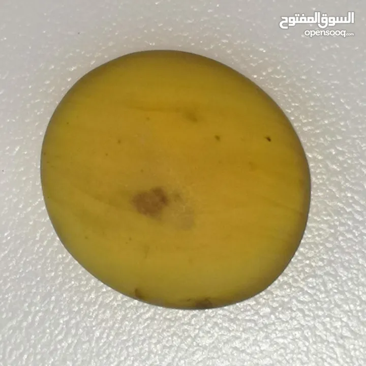 حجر كهرمان بورمي طبيعي غير معالج  natural burma insect amber stone