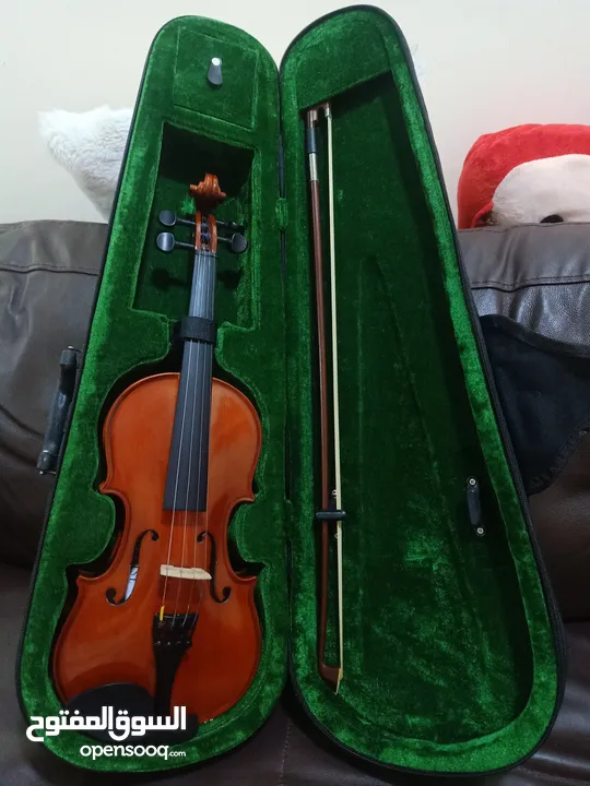 Violin (Rarely used)