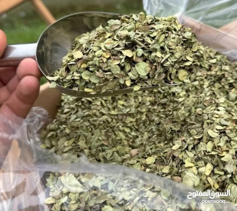 أوريغانو شيرازي ممتاز، طازج من حصاد هذا العام، بعطر سماوي من الدرجة الأولى