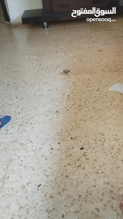 مطلوب شقة صغيرة بطبربور وحولها من المالك مباشرة وشكرا