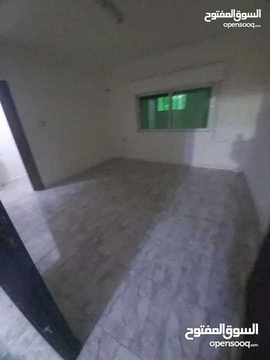 شقة فارغة لايجار جبل طارق