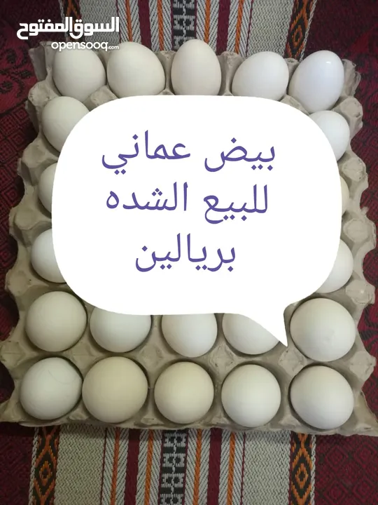 بيض عماني للبيع