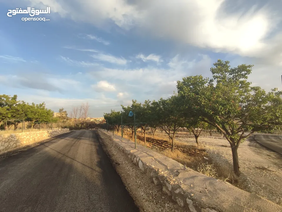 أرض سكنية  للبيع في ناعور "أبو الغزلان  " من المالك دون وساطة