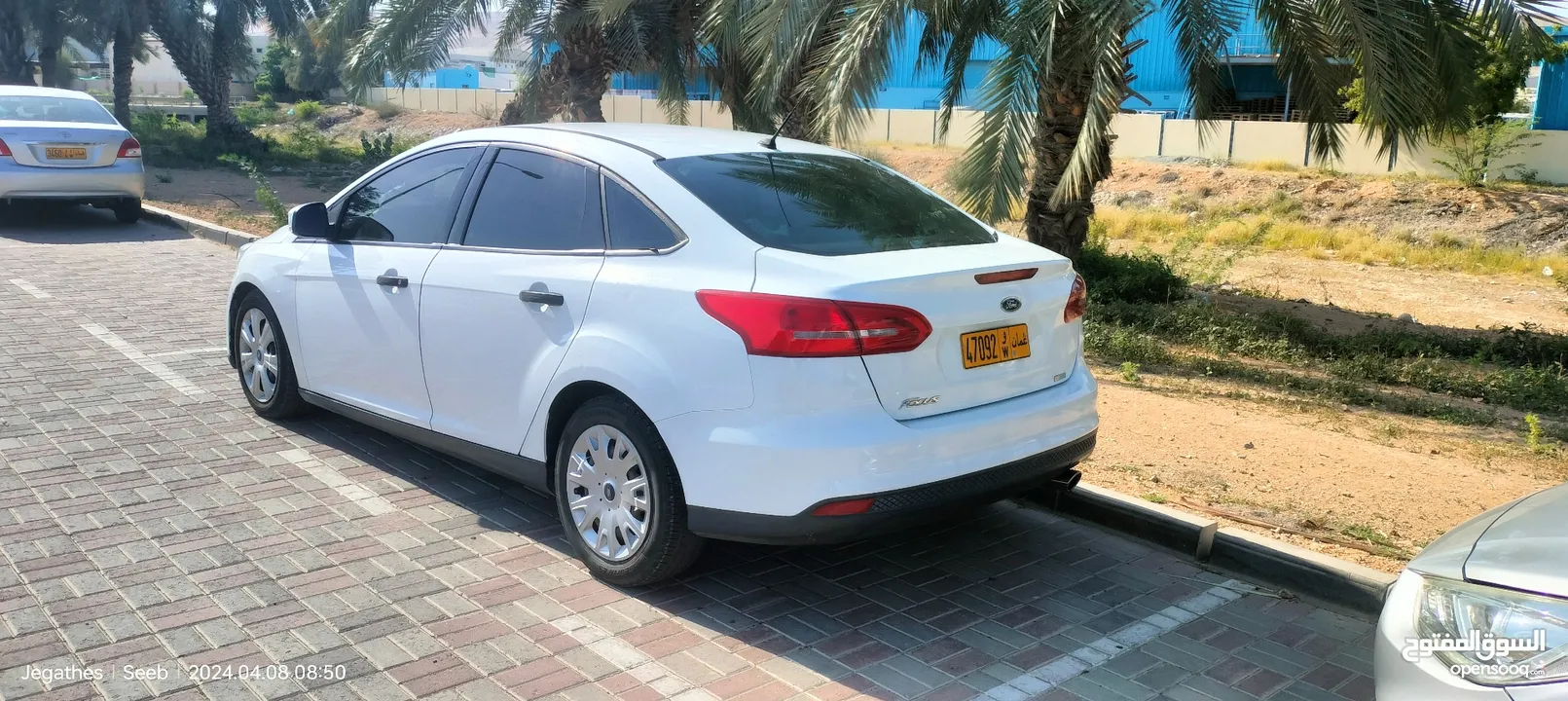 Ford focus white