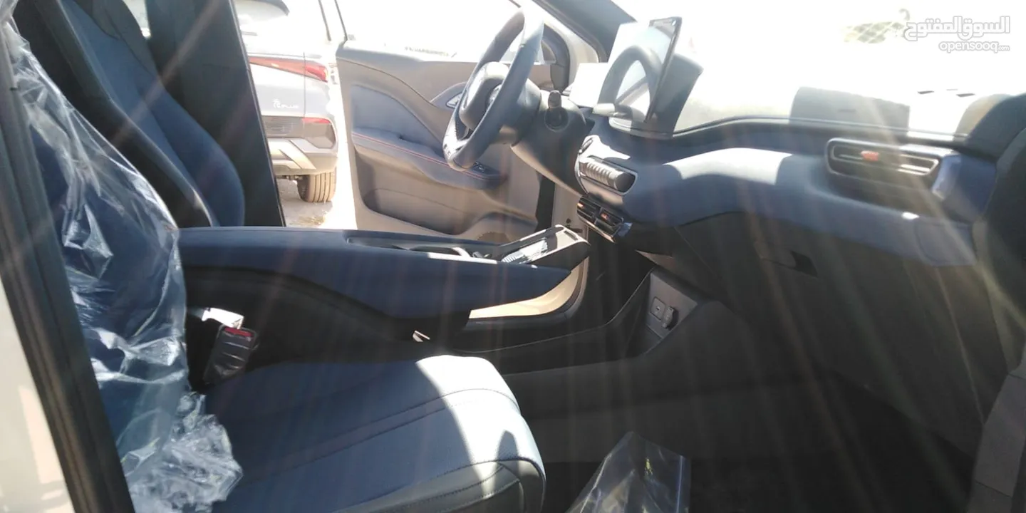 BYD SEAGULL FLYING 2024