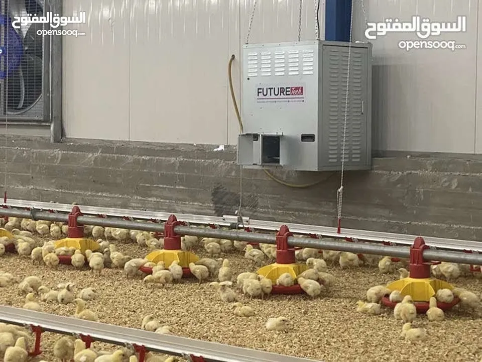 تجهيز وبناء مزارع الدواجن المغلقة