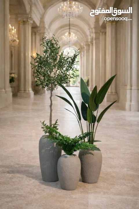 قووير جميع الاشكال والالوان