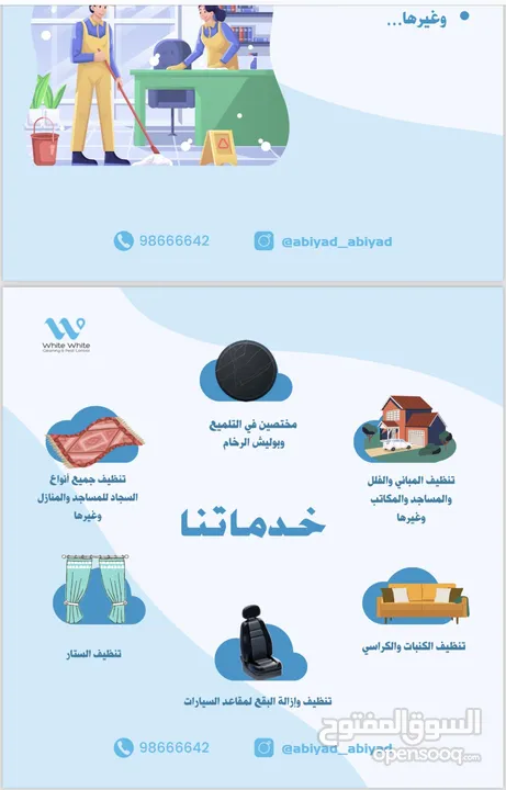 شركة ابيض ابيض لمكافحة الحشرات وخدمات التنظيف