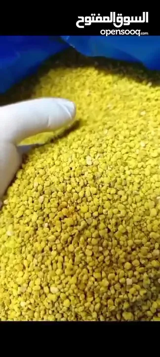 عسل طبيعي 100% وجميع منتجات النحل  مؤسسة كاشور  للعسل الطبيعية