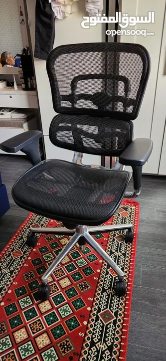 Ergonomic Office Chair