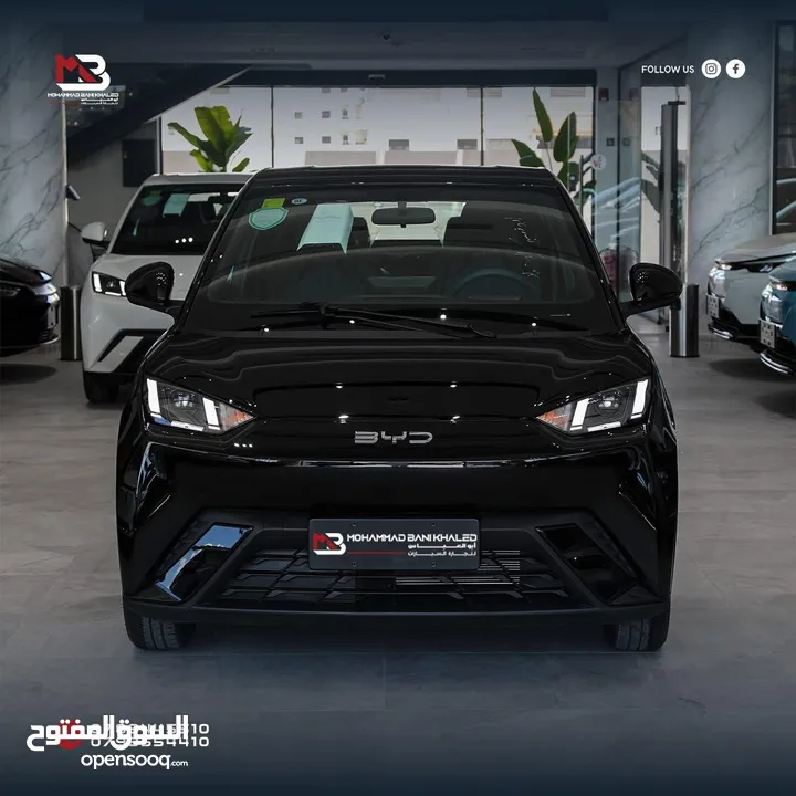 BYD SEAGULL