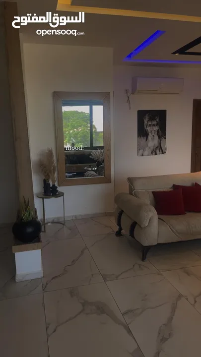 شقة دبليكس للبيع