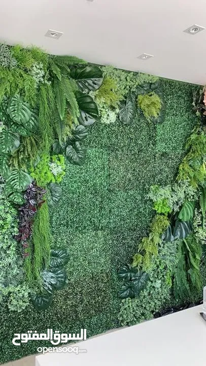 جمال الزرع المعلق الـ Green Wall  علي الحائط يستخدم في العديد من الامكان