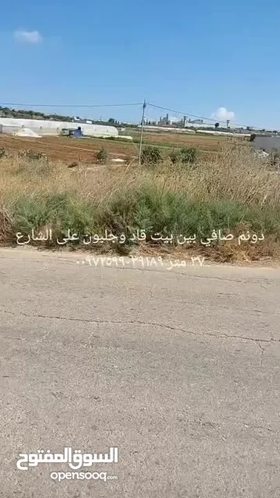 ارض استثمارية للبيع