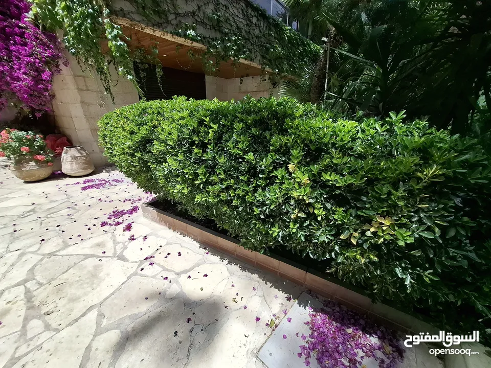 شقة غير مفروشة للإيجار  ( Property 43170 )-174836195