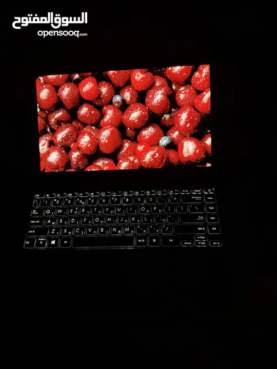 اللابتوب الفخم ال Zenbook شاشه OLED حديث