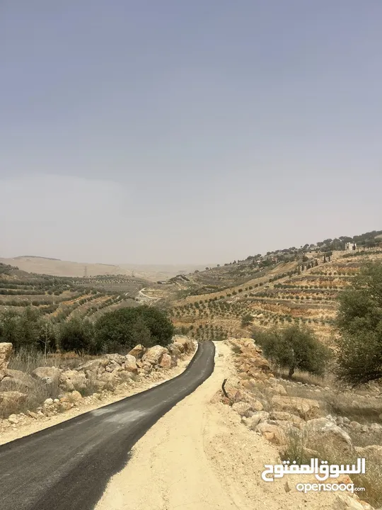ارض زراعيه للبيع في اجمل مناطق العالوك