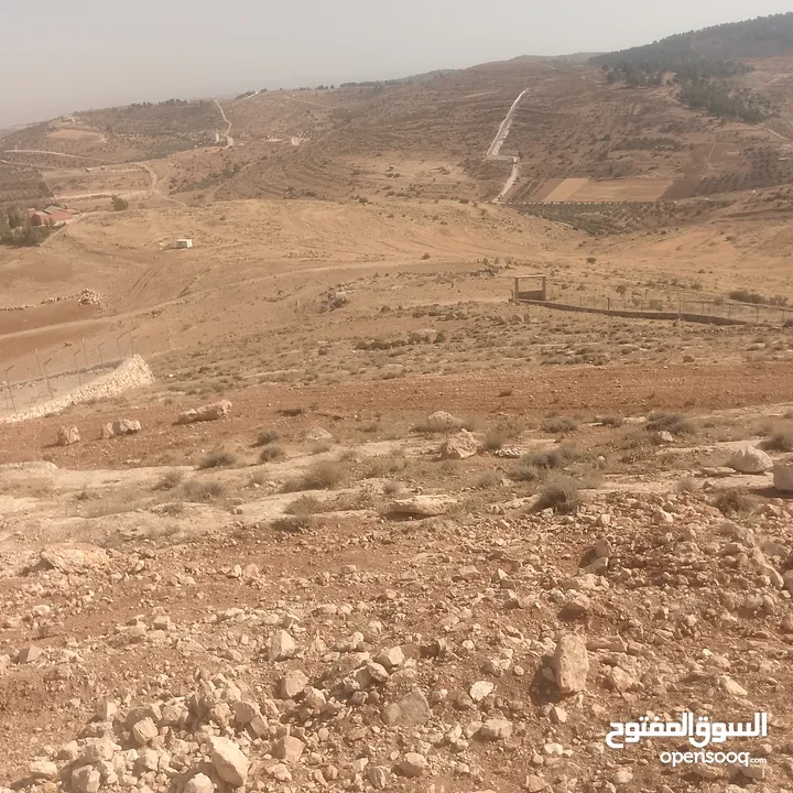 قطعة ارض شرق جرش مرويه من بئر ارتوازي مطله ومرتفعه بسعر مغري متوفر أكثر من 50 قطعه في نفس المنطقه