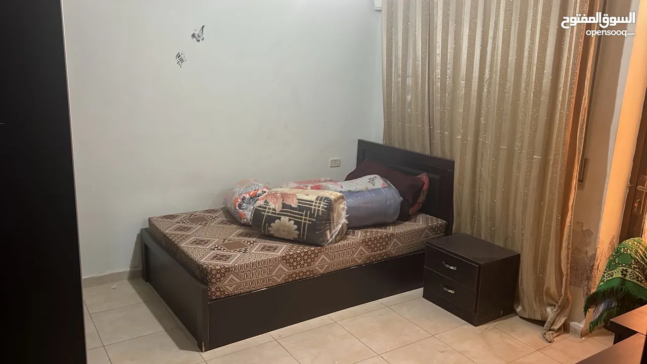 شقة استيديو سكن طالبات - عوائل صغيرة شارع الجامعة خلف الضمان