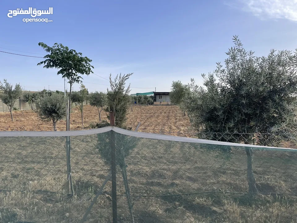 ارض زراعيه مجهزه بل كامل تبعد عن شارع المطار 6 كيلو تبعد عن وسط مادبا4ك
