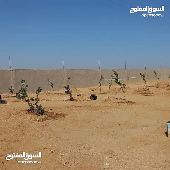 أرض ضمن كومباوند المطار 4 بمساحة 3600m للبيع بسعر حرق
