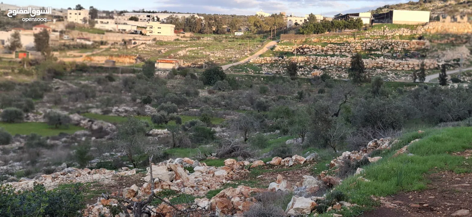 800متر طابوا فلسطيني في اجمل موقع بالكفريات واطلالة مميزةمنطقة( b)صالحة للبناء