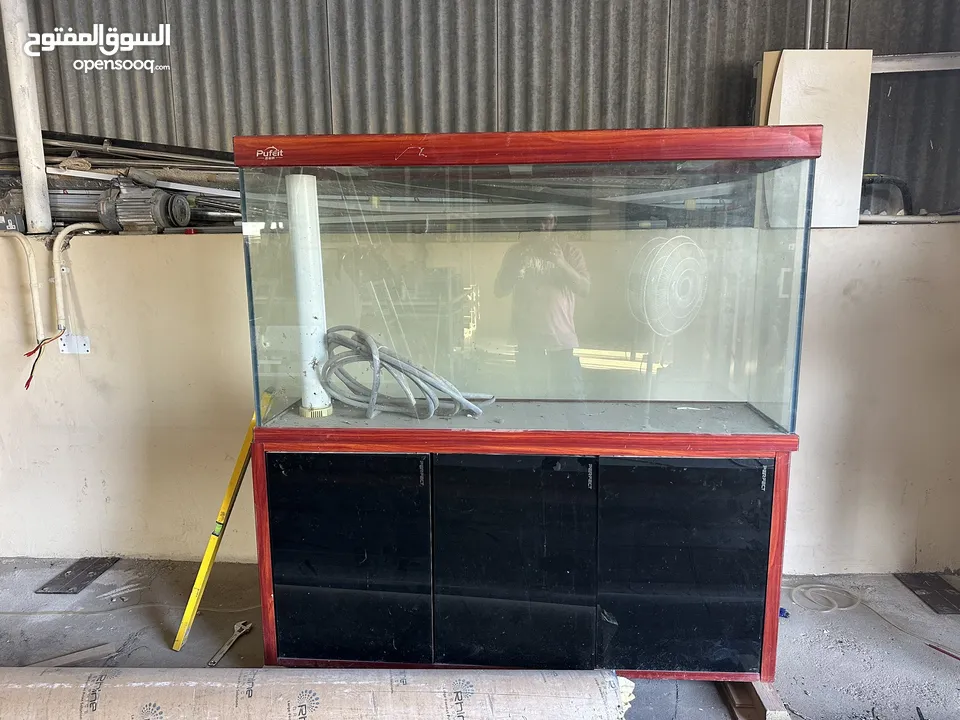 Fish Tank for sale