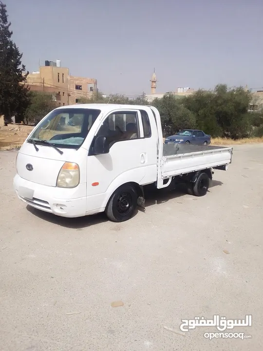 بيكب بنجو ثري 2007