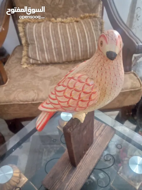 مناظر حيوانات للبيع بسعر مغري