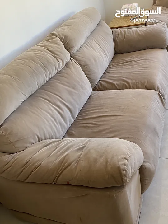 كنب دب امريكي للبيع
