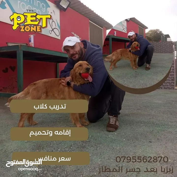 فندق بت زون لاقامه الكلاب وتدريبها