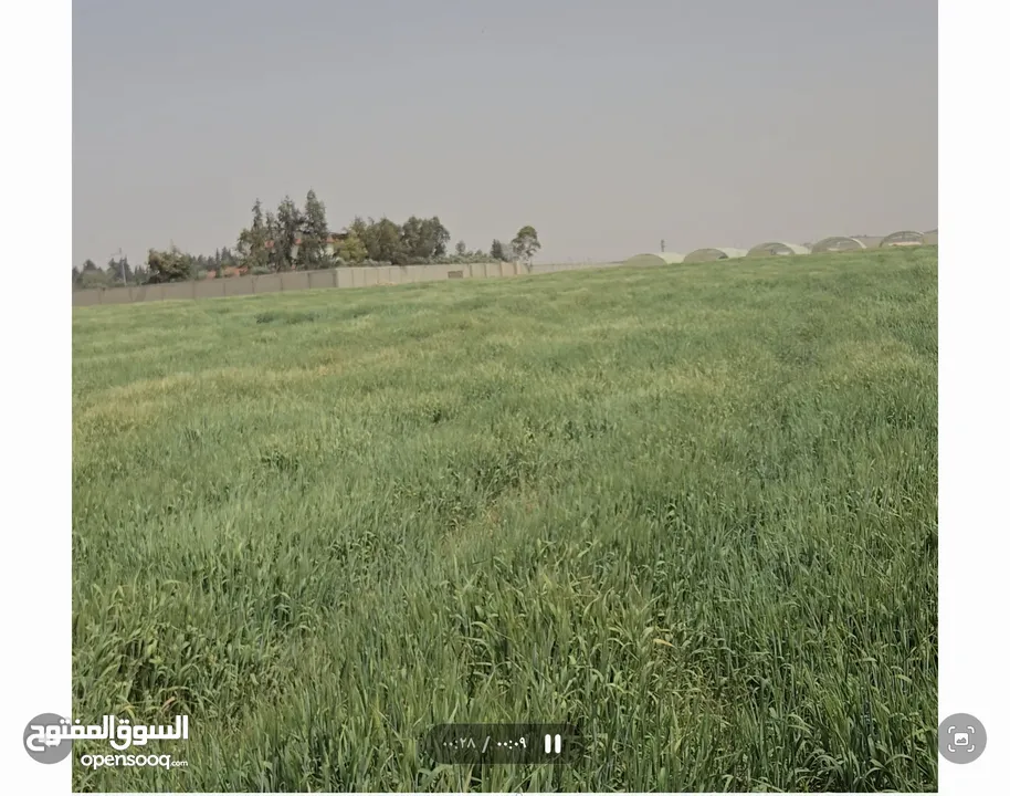 للبيع قطعة أرض 3.8 دونم في اللبن القليب قرب مشروع اعمار من المالك مباشره