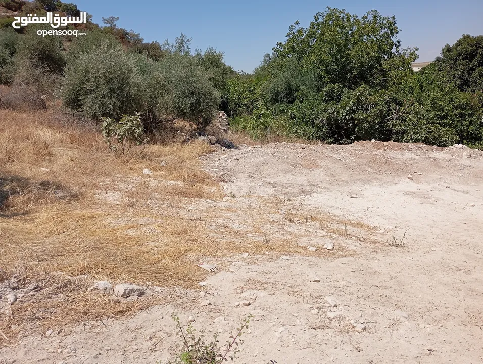 ارض مميزة مطلة ابو السوس غرب عمان عدة قطع في المنطقة.