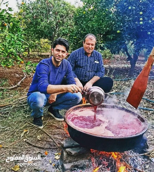 شروة دبس رمان بلدي للبيع