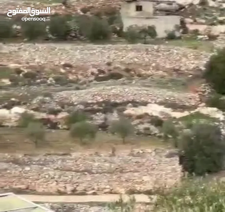 ارض للبيع (بسعر مغري)