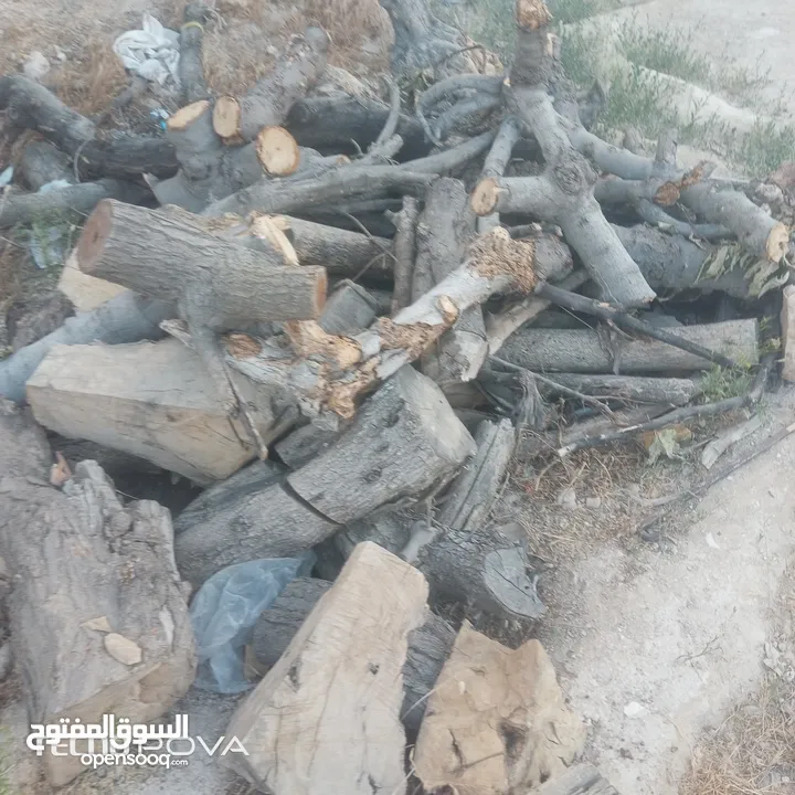 خشب وحطب زيتون  للبيع تقريبا 3طن للبيع