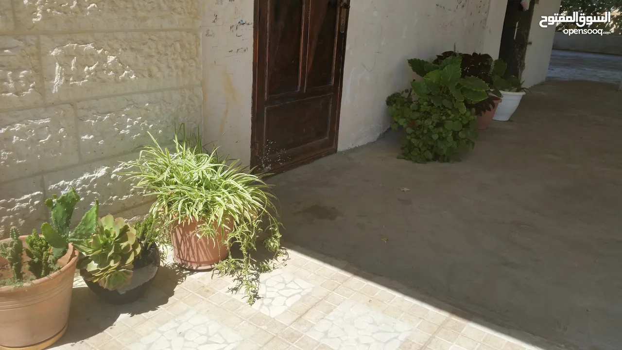 شقة للايجار