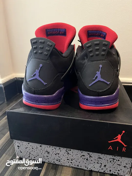 Jordan 4 retro NRG raptor drake signature