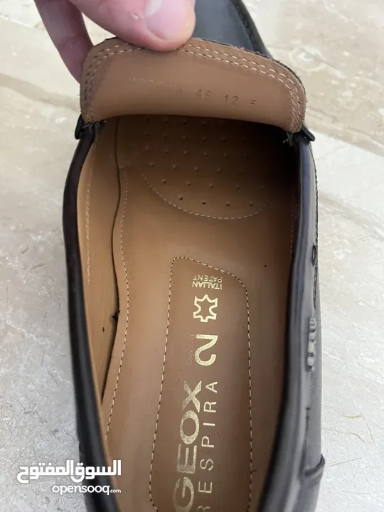 حذاء Geox رجالي جديد مقاس 46