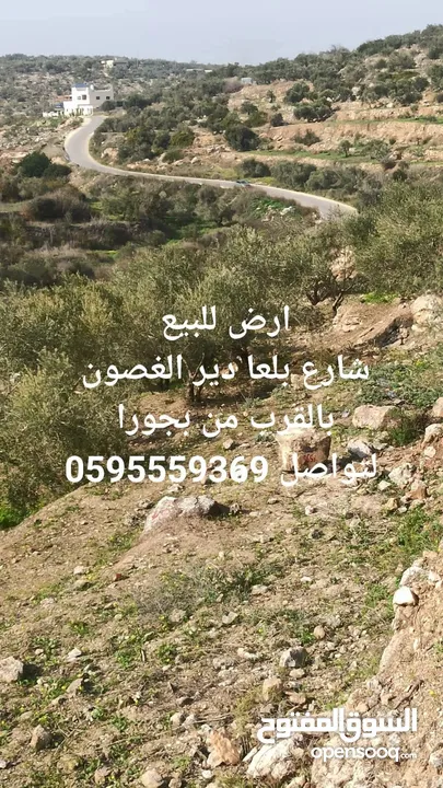 ارض للبيع على شارع بلعا دير الغصون بالقرب من بجورة و مفرق اكتابا