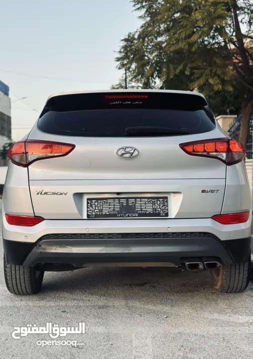 احمد سامي مغنم