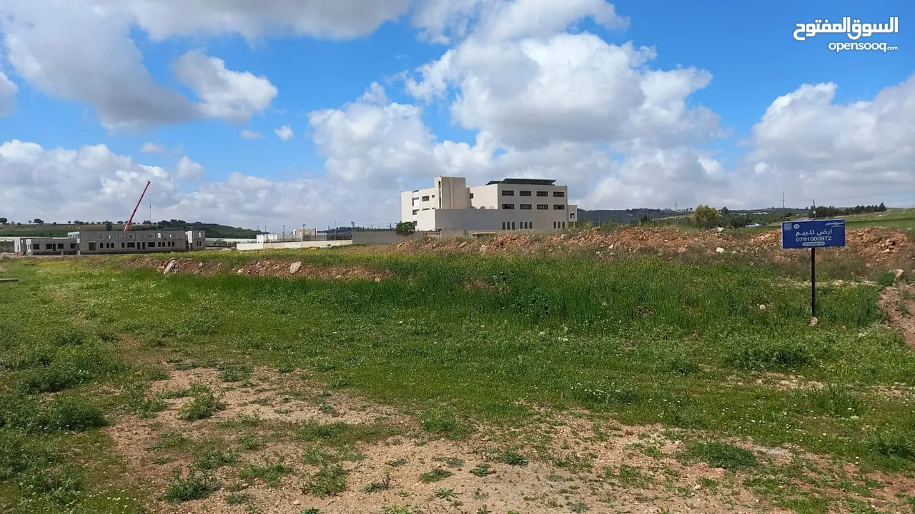 Land For Sale In Alyadodeh ( Property 42386 )-174714076