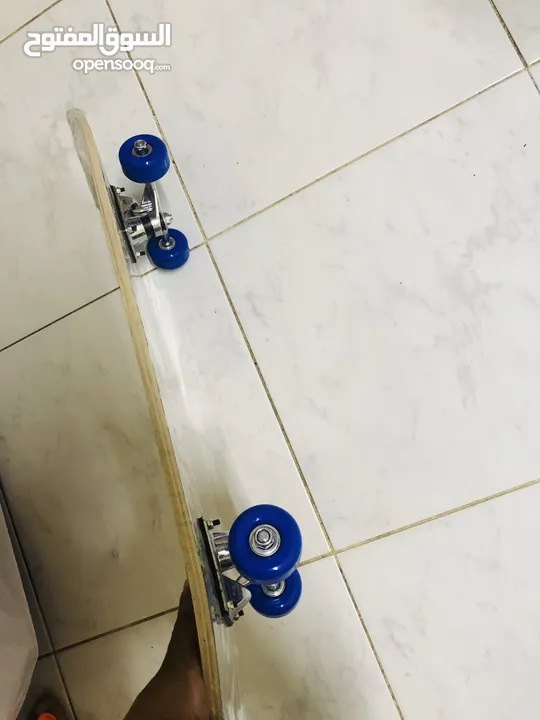 Skateboard for kids & adults