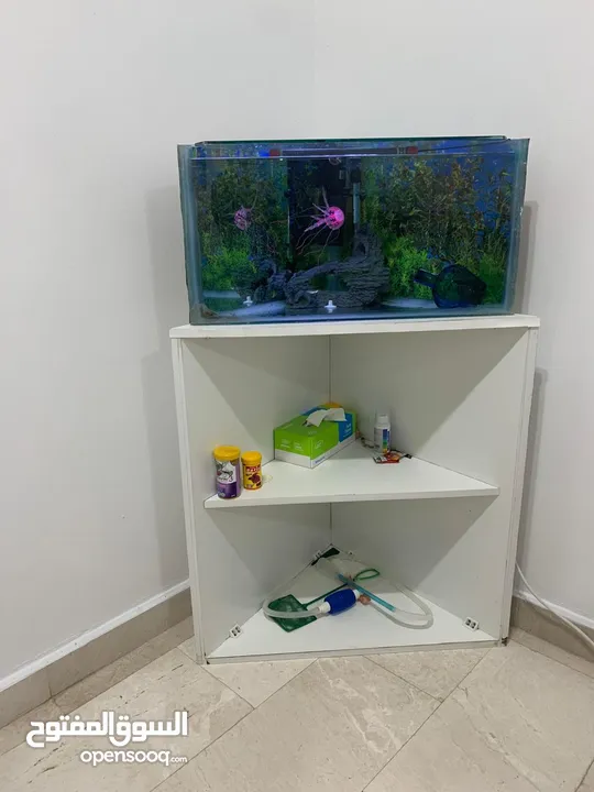 Triangle Aquarium Set with Storage stand