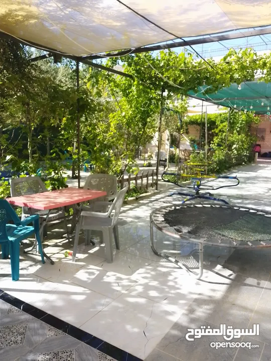 شاليه متنزه  استراحة قهوة