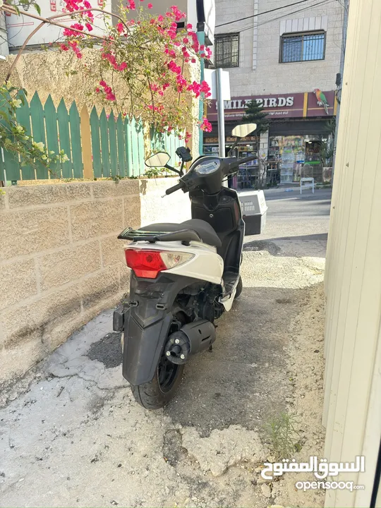 انجكشن Jet4 2019 تسيير 2022