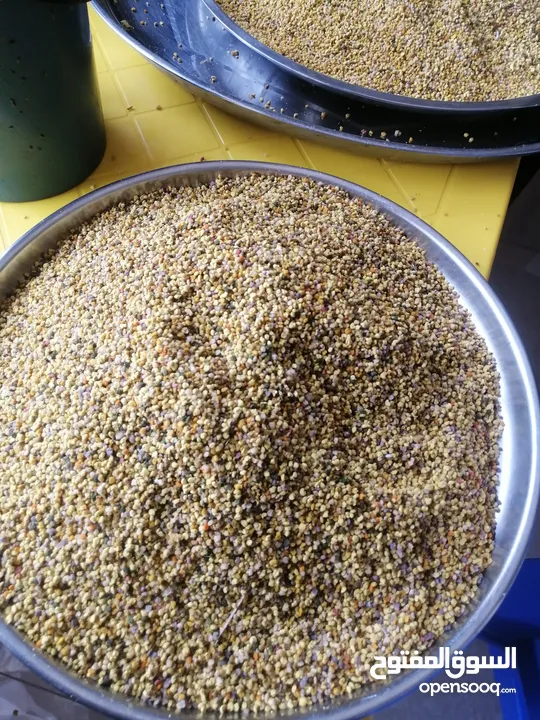 غذاء ملكات حبوب لقاح عسل طبيعي