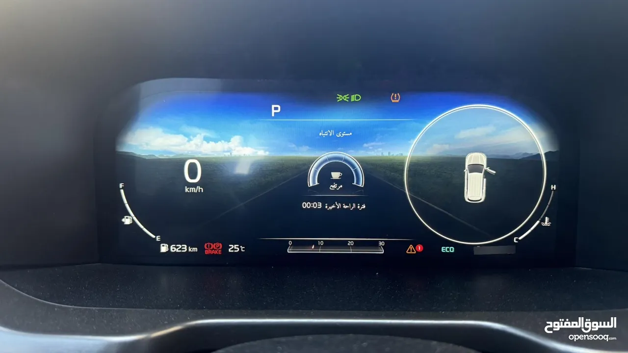 نا صر ابو يحيى